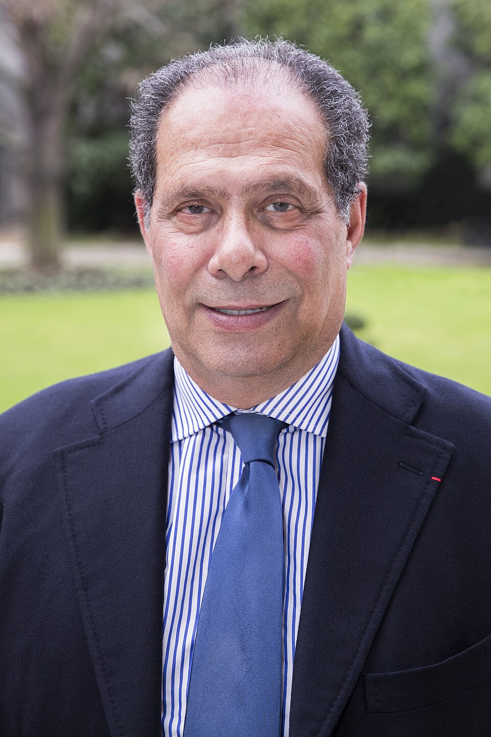 Thierry Dassault