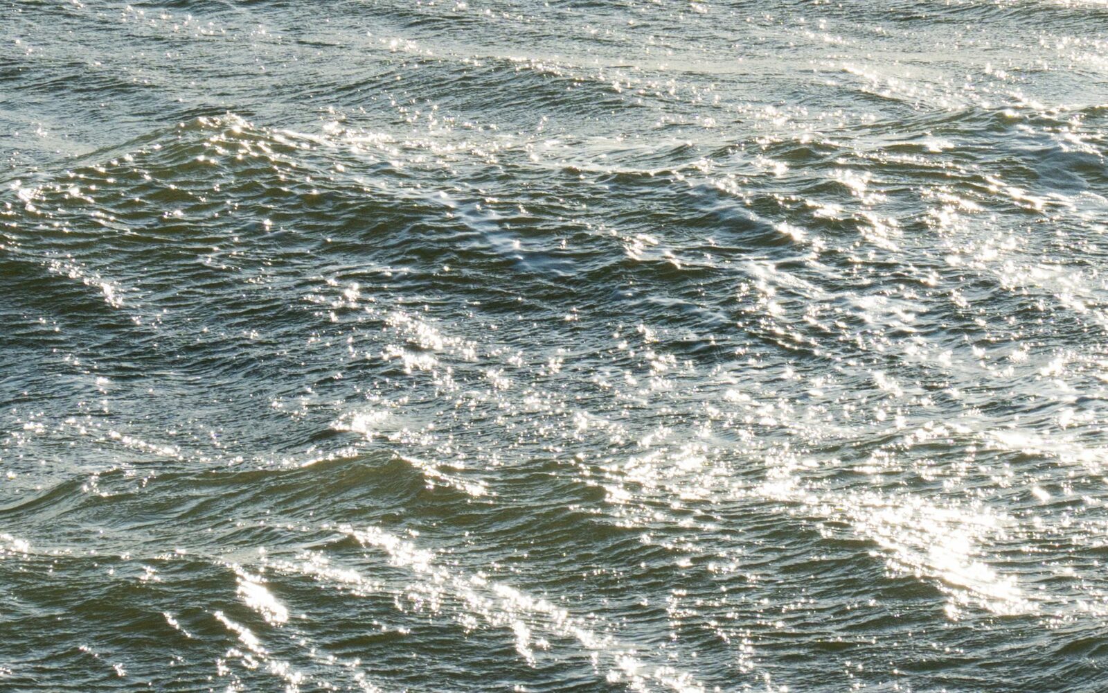 Câbles sous-marins