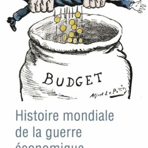 Couverture du livre Histoire guerre économique publié aux éditions Tempus Perrin